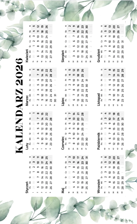 Zrzut ekranu 2026-06-12 o 17.23.57.png