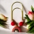 Photoroom_20260108_192647.JPG