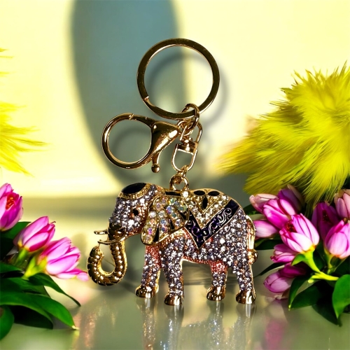 Photoroom_20260127_152901.JPG