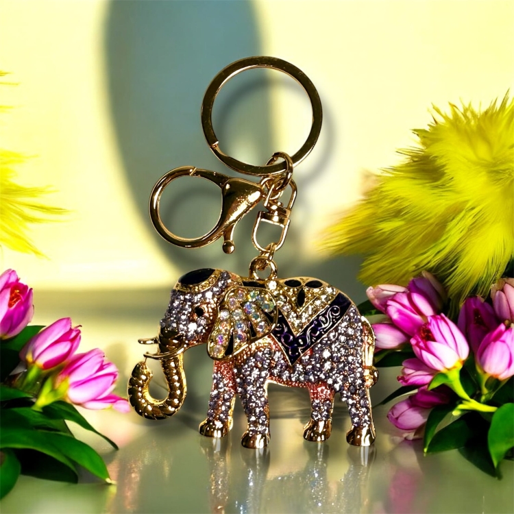 Photoroom_20260127_152901.JPG
