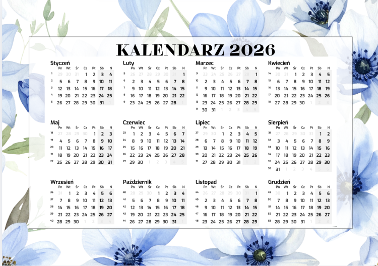 Zrzut ekranu 2026-01-30 o 09.43.59.png