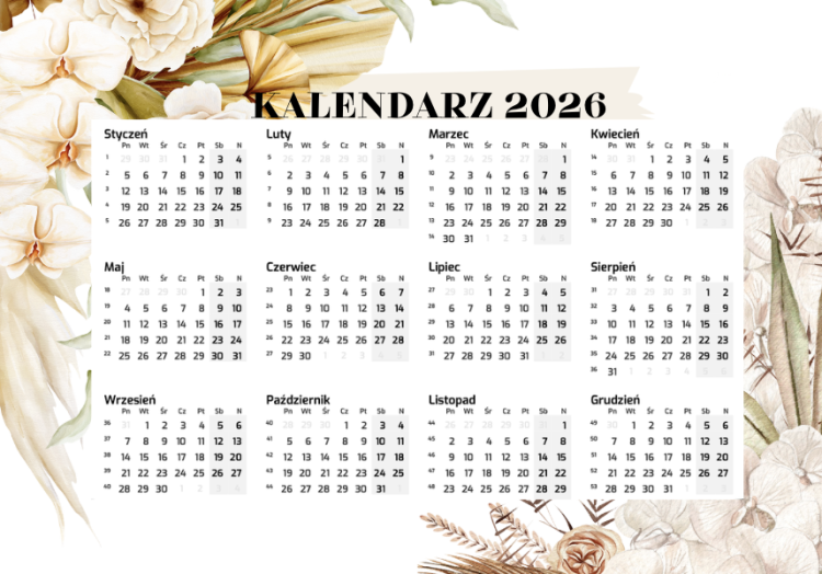Zrzut ekranu 2026-02-3 o 15.53.24.png